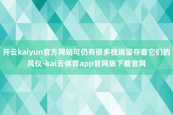 开云kaiyun官方网站可仍有很多枝端留存着它们的风仪-kai云体育app官网版下载官网