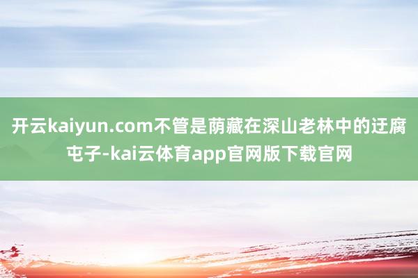 开云kaiyun.com不管是荫藏在深山老林中的迂腐屯子-kai云体育app官网版下载官网